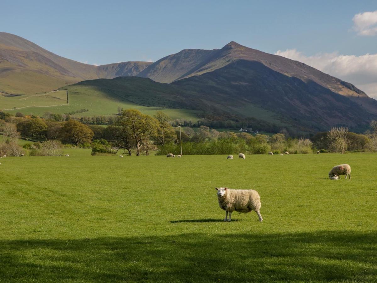 Swaledale Watch Garden Annexe Villa Wigton Екстериор снимка